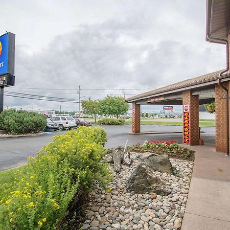אמהרסט Comfort Inn מראה חיצוני תמונה