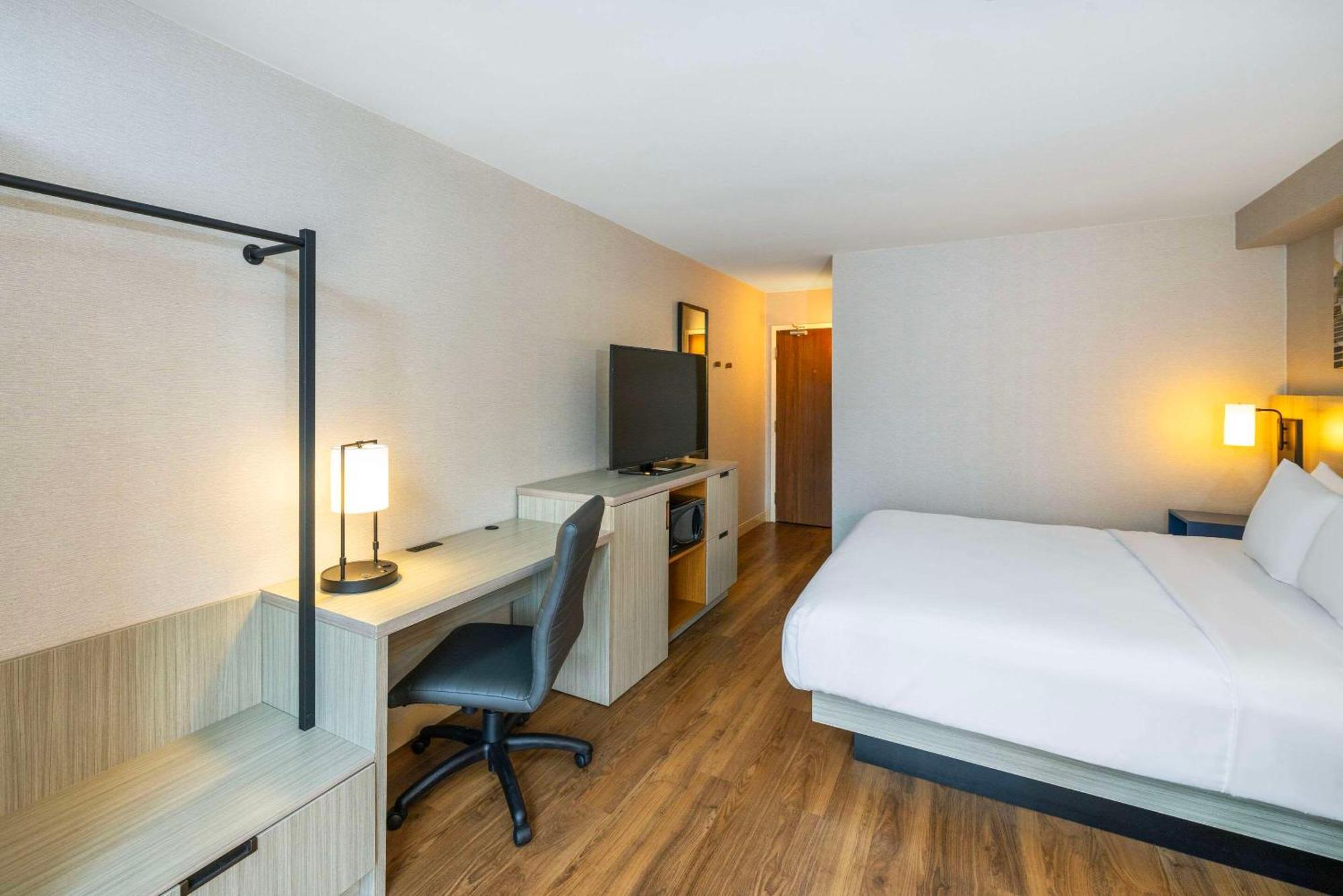 אמהרסט Comfort Inn מראה חיצוני תמונה