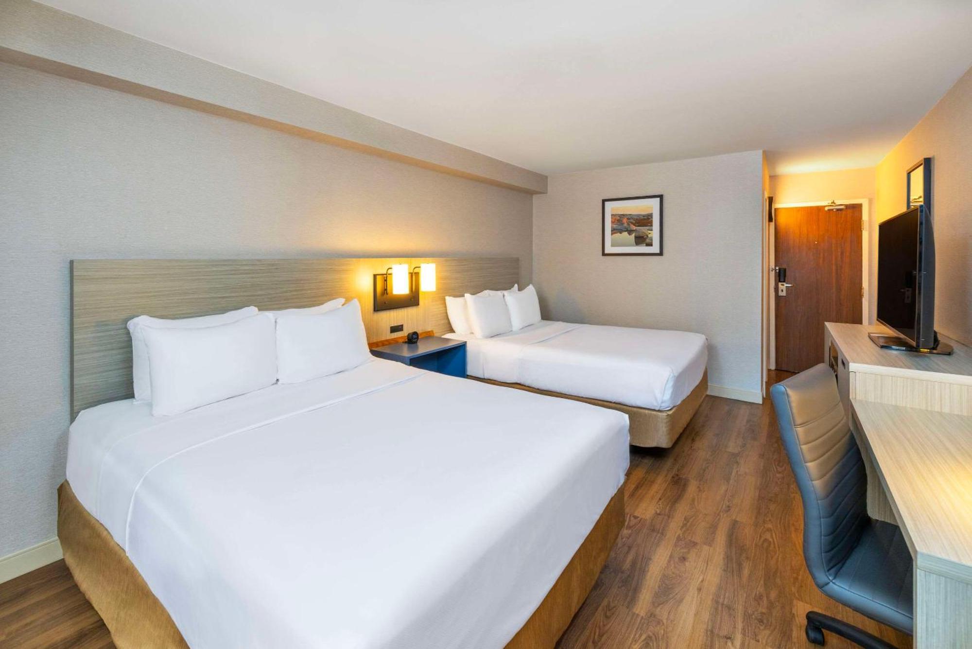 אמהרסט Comfort Inn מראה חיצוני תמונה